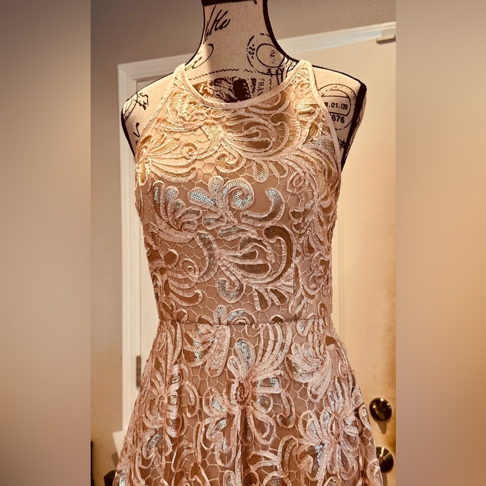 Betsy & Adam Lace & Sequin Formal Dress - Picture 2 of 12